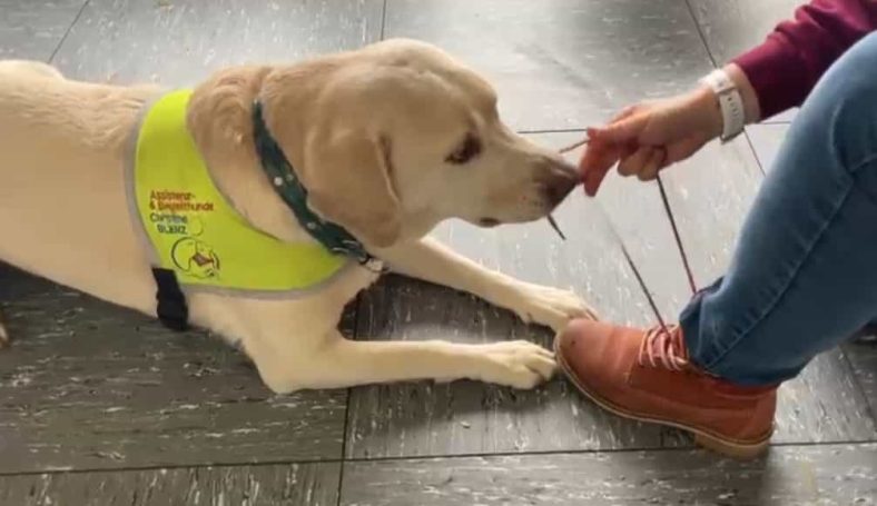  Schuhe helfen zu binden